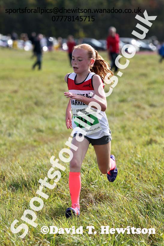 Girls under-13s, North East Harrier League, Cramlington. Photo: David T. Hewitson/Sports for All Pics